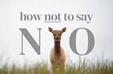 A deer staring into the camera with the caption “How not to say no”