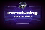 StormYield Finance Project
