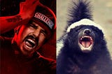 Let’s Compare: Animals Edition — Jordan Wiseley and the Honey Badger