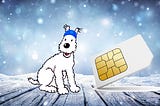 Injective Snowy E-SIM Card: Your Shield in the GSM Universe