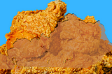Picture of fried chicken with a map of Kentucky imposed over it to look like a piece of chicken
