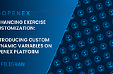 Enhancing Exercise Customization: Introducing Custom Dynamic Variables on OpenEx Platform