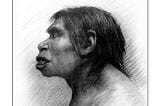 The Piltdown Man Hoax Unveiled