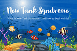 What Is New Tank Syndrome? And How to Get Rid Of New Tank Syndrome?