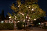The Chandelier Tree is a beacon for romance in Los Angeles