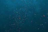 Small Mercies in Ocean Microplastic Pollution