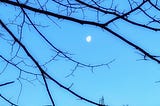 The Resolution-Free Way to Transform Your Life