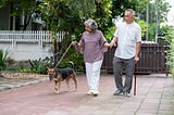 To Old to Adopt a Puppy? I have an Opinion