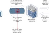 Leveraging SOCKS5 Proxy for Seamless Access to Geo-Restricted Content