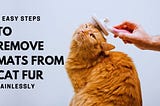 How to Remove Mats from Cat Fur Painlessly in 6 Easy Steps