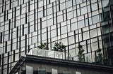 A Corporate Contradiction