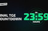 Final TGE Countdown: What to Expect in the Next 24 Hours