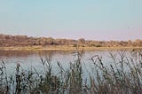 Namibia Day 16: Mavunje Campsite — Ngepi Camp