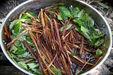 Ayahuasca | A Story of Life and Death