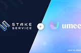 How to stake $UMEE tokens