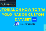 Train YOLO-NAS on Custom Dataset.