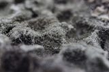 Black Mold in your Home