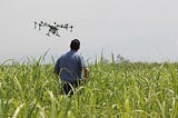 Alliance of AI & Agriculture-A new force for the future in Africa
