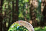 Photographing Muir Woods with a Crystal Ball