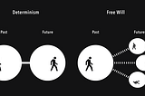 Is choice an illusion? Hint: Time is linear; multiverses are unproven.