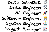 Cracking the Code of Data Science Team Structures