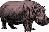 Silly Animal Rhymes — Hippo Reflections