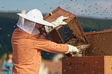 How SAP Leonardo is Helping Bees Thrive