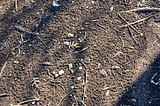 Patterns in the mud on a winter day