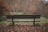 Severed Head With “Perv” Carved Into Forehead Left on Busy Park Bench