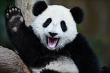 Basics of Pandas — Part 1