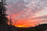 A sunset sky with a bursting color of bright orange reflected off of clouds that seem to become ridged and thinner with distance from the sun. The left side of the picture has a few redwood tries standing tall and at the bottom of the picture there are traditional old rooftops of the neighbours.