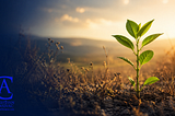 You Can’t Remove Every Weed — But You Can Choose What You Cultivate