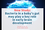 New study: Bacteria in a baby’s gut may play a key role in early brain development