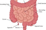 AORTIC PLEXUS EXPLAINED