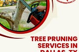 Expert Tree Pruning Services in Dallas, TX