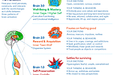 What is Brain 3.0 and Why Do We Need More of It?