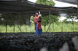 Green Guardians of Africa: Protecting Trees for a Sustainable Future