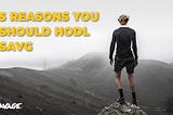 5 Reasons You Should ‘HODL’ the $SAVG Token