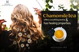 Blossoming Serenity: Harnessing the Aromatic Delights of Chamomile Tea