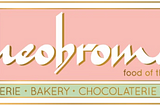 Redesigning the Theobroma website