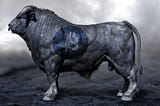 The Phantom Bull of Bitcoin Futures