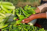 Top 10 Reasons to Include Okra in Your Daily Diet