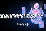 Leveraged Farming Opens on Bunny
