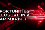 Stasis Network: Opportunities and Closure in a Bear Market