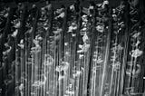 Rows of theatre seats with people, shot from above. An image of the stage curtain overlaps the main image of the people.