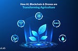 How AI, Blockchain & Drones are Transforming Agriculture?
