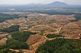 To save the orang-utans, we must first fight the lobbyists