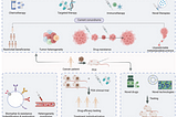 Patient-derived xenograft