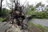 In hurricane aftermath, be on watch for financial fraud and investment scams