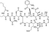 What are the medical uses of daptomycin?